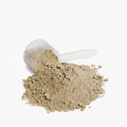 BASE Plant Protein — Vanilla