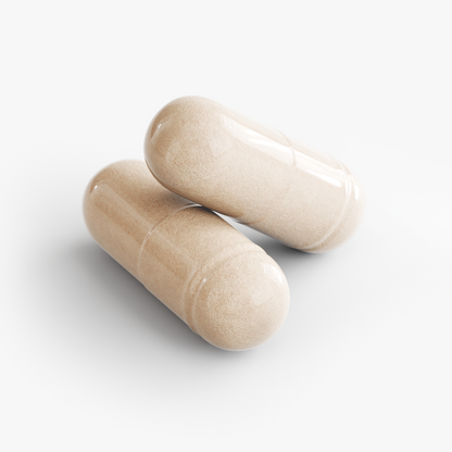 BASE GLP-1 Digestive Support